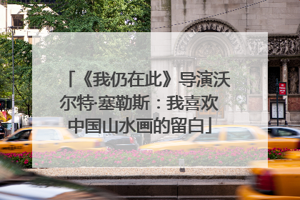 《我仍在此》导演沃尔特·塞勒斯：我喜欢中国山水画的留白