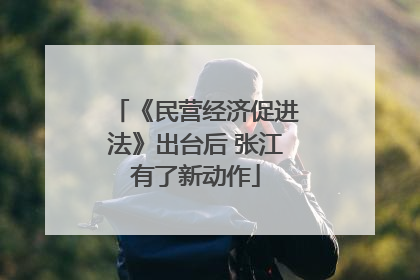 《民营经济促进法》出台后 张江有了新动作