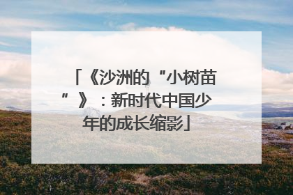 《沙洲的“小树苗”》：新时代中国少年的成长缩影