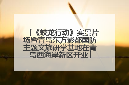 《蛟龙行动》实景片场暨青岛东方影都国防主题文旅研学基地在青岛西海岸新区开业