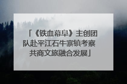 《铁血幕阜》主创团队赴平江石牛寨镇考察 共商文旅融合发展