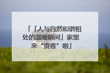 「人与自然和谐相处的温暖瞬间」家里来“贵客”啦