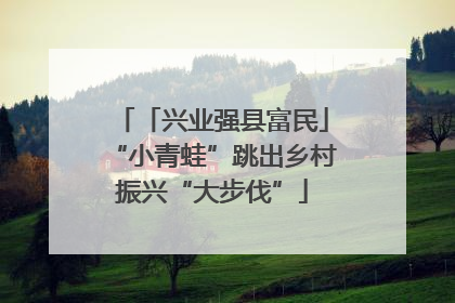 「兴业强县富民」“小青蛙”跳出乡村振兴“大步伐”