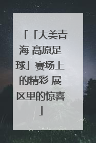 「大美青海 高原足球」赛场上的精彩 展区里的惊喜