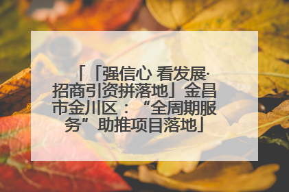 「强信心 看发展·招商引资拼落地」金昌市金川区：“全周期服务”助推项目落地