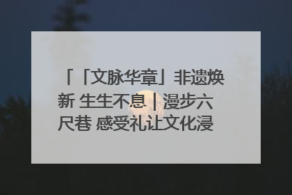 「文脉华章」非遗焕新 生生不息｜漫步六尺巷 感受礼让文化浸润的“巷”往生活