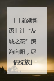 「蒲湖新语」让“友城之花”跨海向阳，尽情绽放