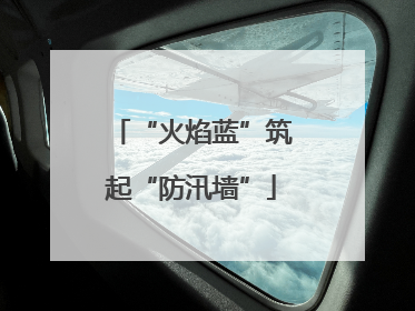 “火焰蓝”筑起“防汛墙”
