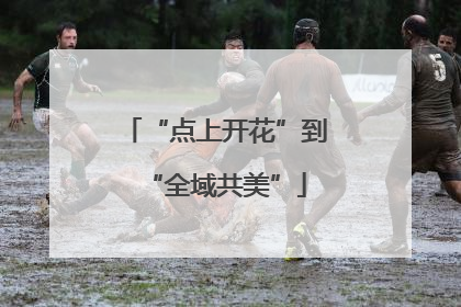 “点上开花”到“全域共美”