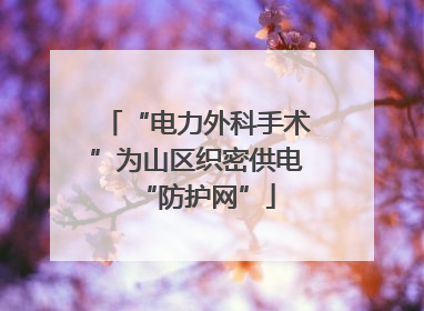 “电力外科手术”为山区织密供电“防护网”