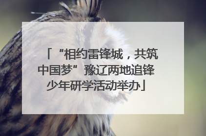 “相约雷锋城，共筑中国梦”豫辽两地追锋少年研学活动举办