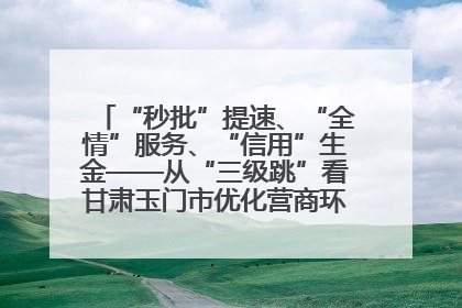 “秒批”提速、“全情”服务、“信用”生金——从“三级跳”看甘肃玉门市优化营商环境的进阶之路