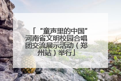 “童声里的中国”河南省文明校园合唱团交流展示活动（郑州站）举行