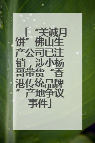 “美诚月饼”佛山生产公司已注销，涉小杨哥带货“香港传统品牌”产地争议事件