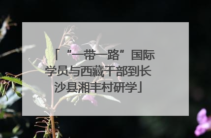“一带一路”国际学员与西藏干部到长沙县湘丰村研学