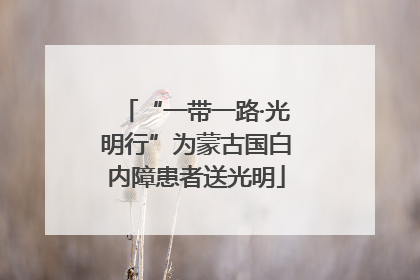 “一带一路·光明行”为蒙古国白内障患者送光明