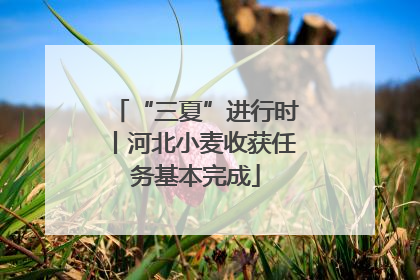 “三夏”进行时丨河北小麦收获任务基本完成