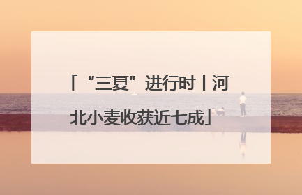 “三夏”进行时丨河北小麦收获近七成