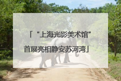 “上海光影美术馆”首展亮相静安苏河湾