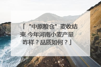 “中原粮仓”麦收结束 今年河南小麦产量咋样？品质如何？