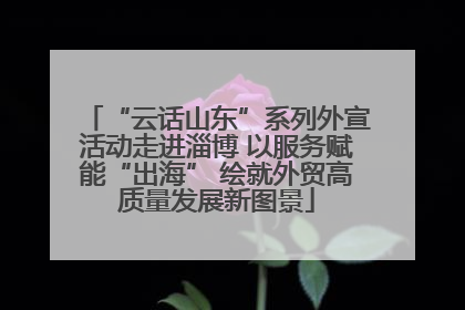 “云话山东”系列外宣活动走进淄博 以服务赋能“出海” 绘就外贸高质量发展新图景