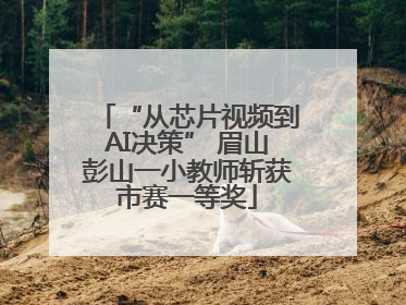 “从芯片视频到AI决策” 眉山彭山一小教师斩获市赛一等奖