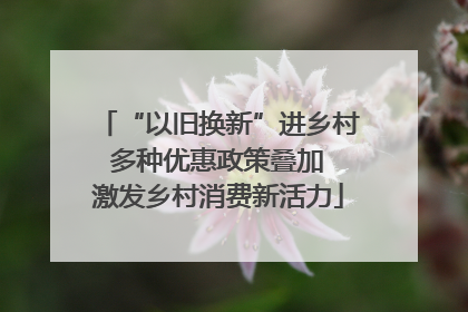 “以旧换新”进乡村 多种优惠政策叠加 激发乡村消费新活力