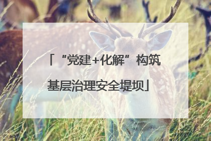 “党建+化解”构筑基层治理安全堤坝