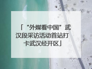 “外媒看中国”武汉段采访活动首站打卡武汉经开区