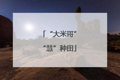 “大米哥”“慧”种田