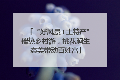 “好风景+土特产”催热乡村游，桃花涧生态美带动百姓富