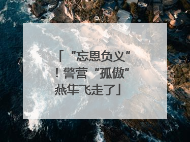 “忘恩负义”！警营“孤傲”燕隼飞走了