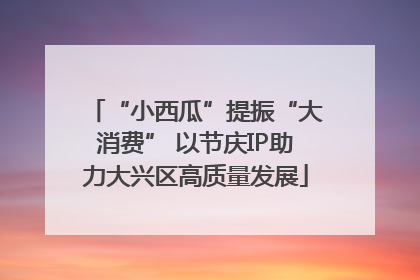 “小西瓜”提振“大消费” 以节庆IP助力大兴区高质量发展