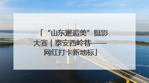 “山东邂逅美”摄影大赛｜泰安西岭巷——网红打卡新地标