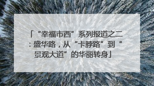 “幸福市西”系列报道之二：盛华路，从“卡脖路”到“景观大道”的华丽转身