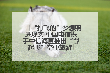 “打飞的”梦想照进现实 中国电信携手中信海直推出“翼起飞”空中旅游