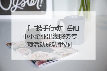 “携手行动”岳阳中小企业出海服务专项活动成功举办