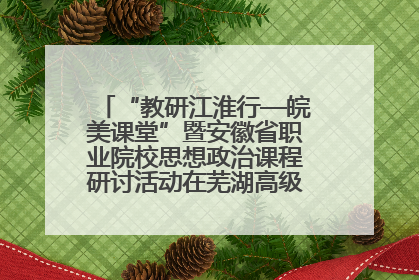 “教研江淮行—皖美课堂”暨安徽省职业院校思想政治课程研讨活动在芜湖高级职业技术学校举行
