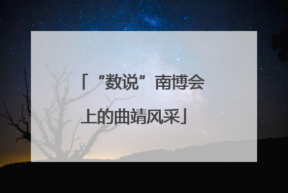 “数说”南博会上的曲靖风采