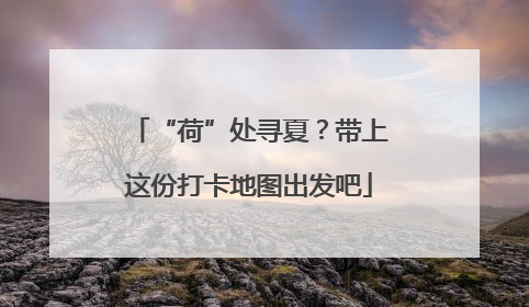 “荷”处寻夏？带上这份打卡地图出发吧