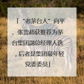 “老茅台人”向平、张贵超获推荐为茅台集团副总经理人选，后者是集团最年轻党委委员