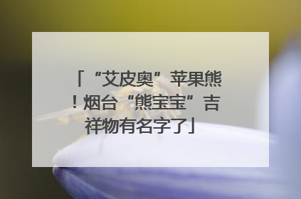 “艾皮奥”苹果熊！烟台“熊宝宝”吉祥物有名字了