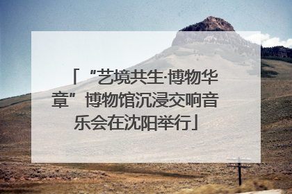 “艺境共生·博物华章”博物馆沉浸交响音乐会在沈阳举行
