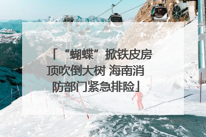 “蝴蝶”掀铁皮房顶吹倒大树 海南消防部门紧急排险