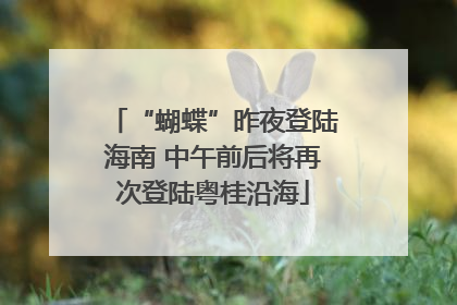“蝴蝶”昨夜登陆海南 中午前后将再次登陆粤桂沿海
