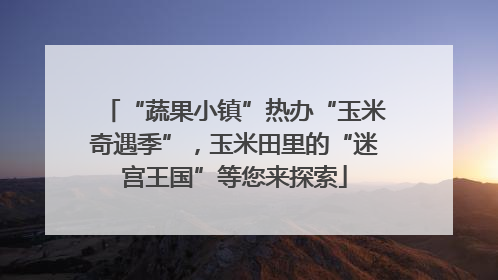 “蔬果小镇”热办“玉米奇遇季”，玉米田里的“迷宫王国”等您来探索