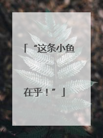 “这条小鱼在乎！”