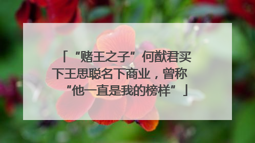 “赌王之子”何猷君买下王思聪名下商业，曾称“他一直是我的榜样”