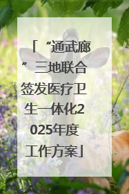 “通武廊”三地联合签发医疗卫生一体化2025年度工作方案