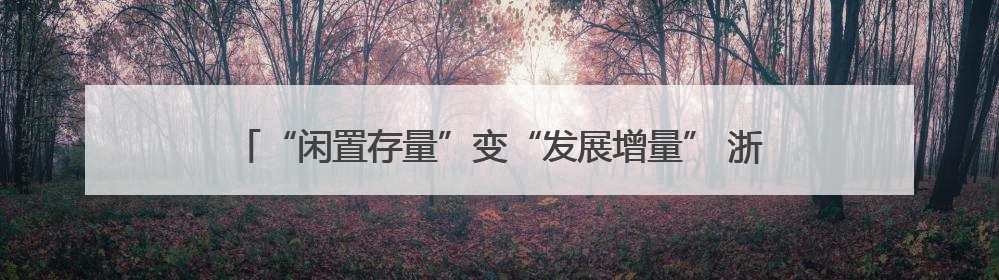 “闲置存量”变“发展增量” 浙江现代化美丽城镇建设再添新意